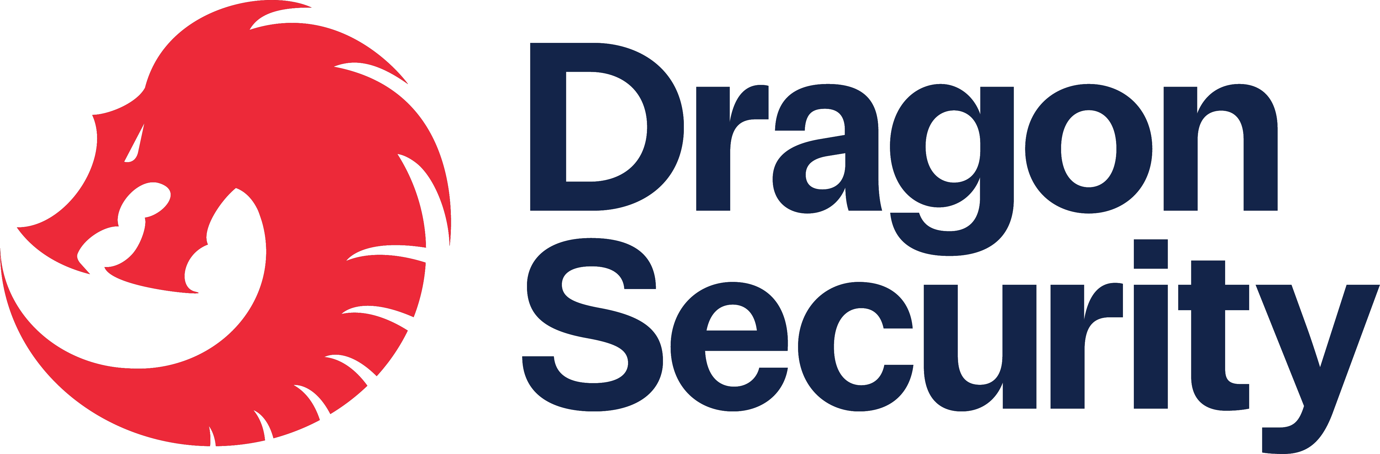 Dragon Security